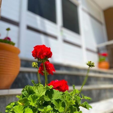 Thealos Inn Nea Vrasna Ngoại thất bức ảnh