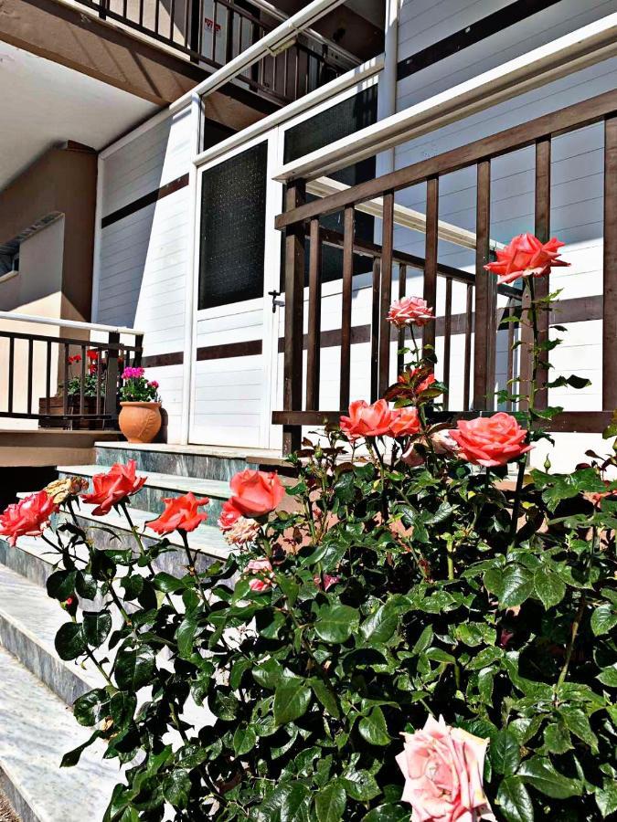 Thealos Inn Nea Vrasna Ngoại thất bức ảnh