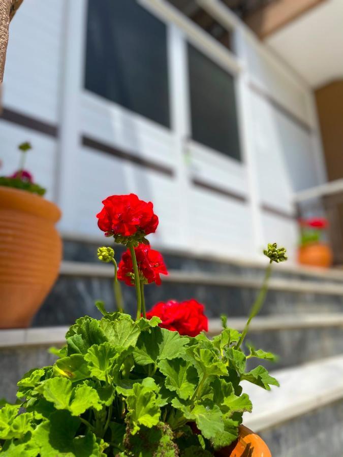 Thealos Inn Nea Vrasna Ngoại thất bức ảnh