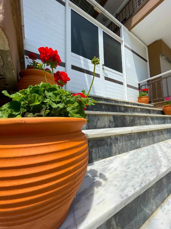 Thealos Inn Nea Vrasna Ngoại thất bức ảnh